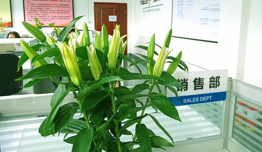 濃情七夕，最美祝福！